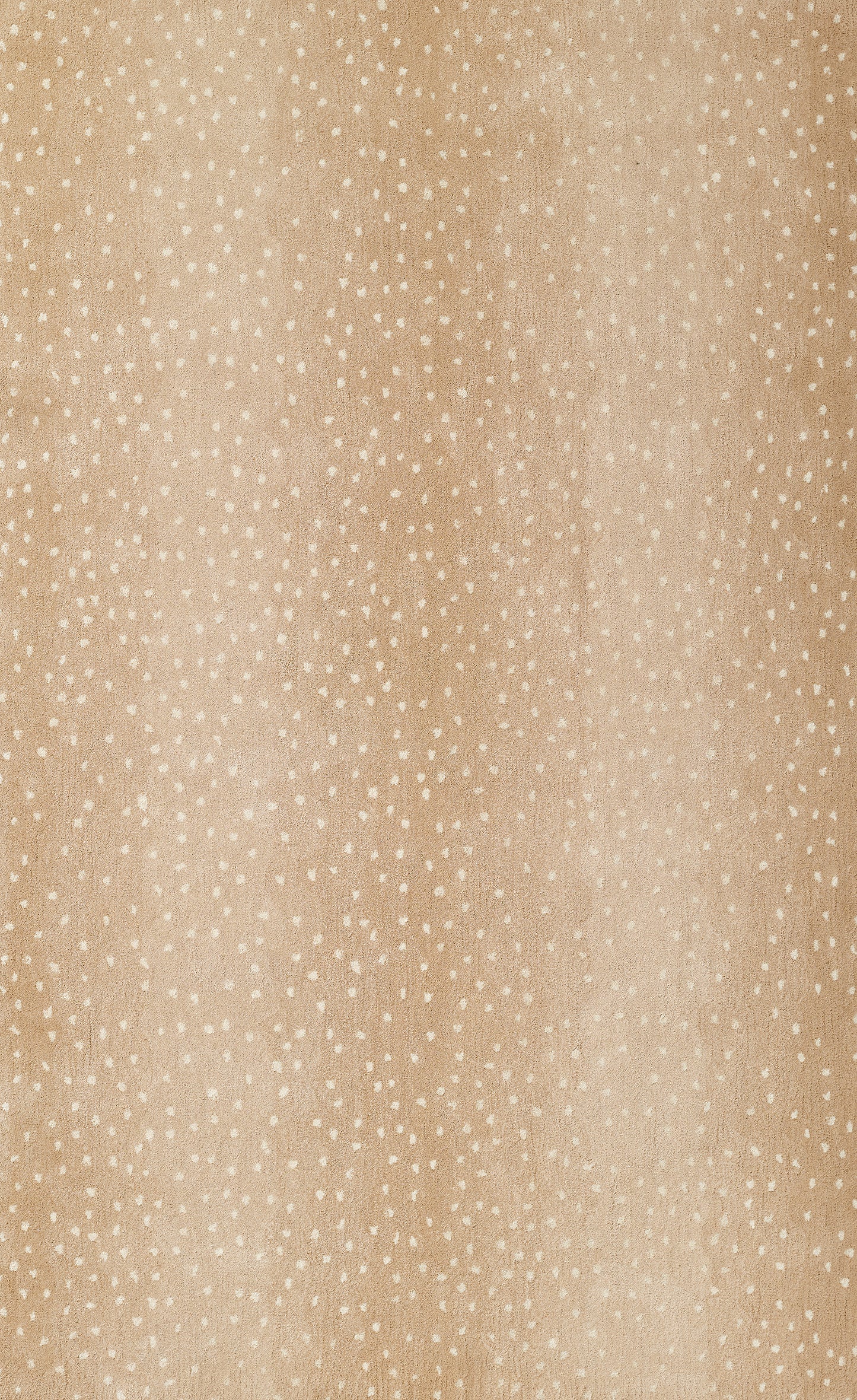 Arnavi