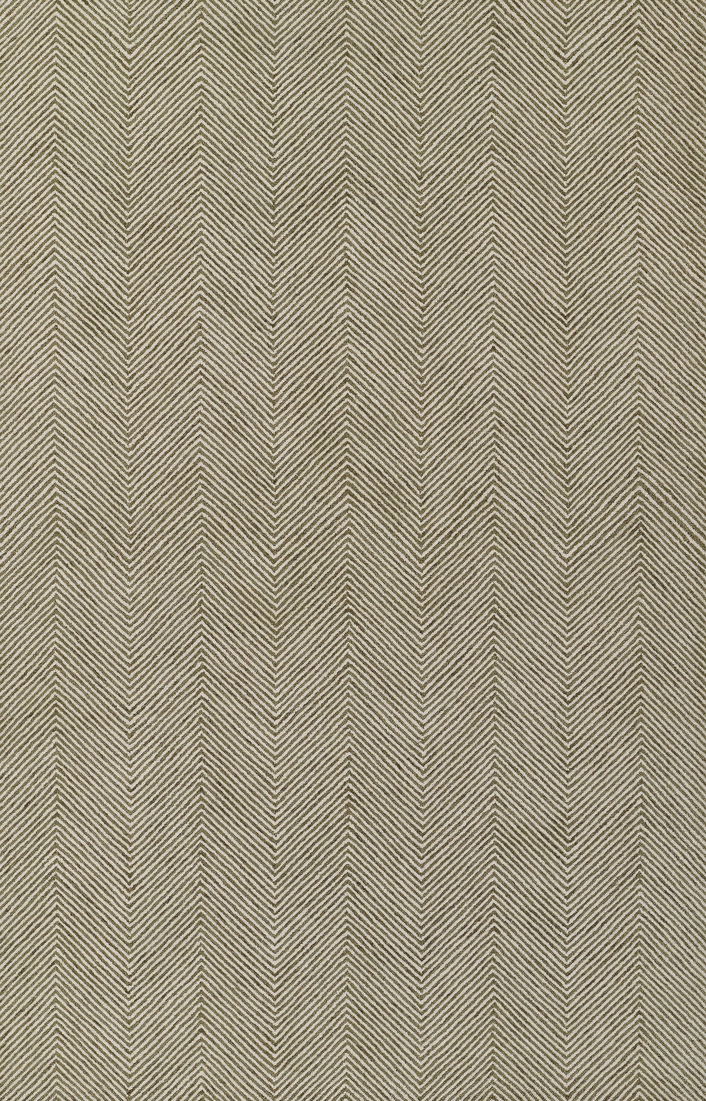 Ipomoea