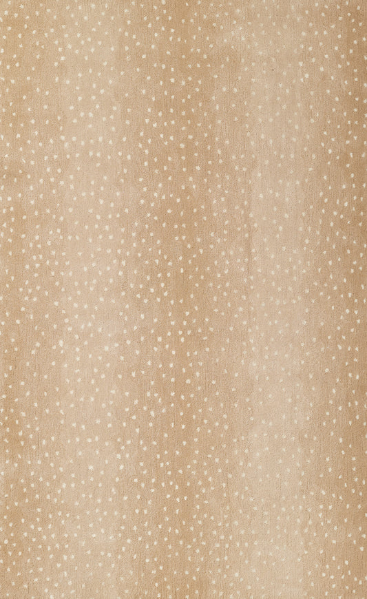Arnavi