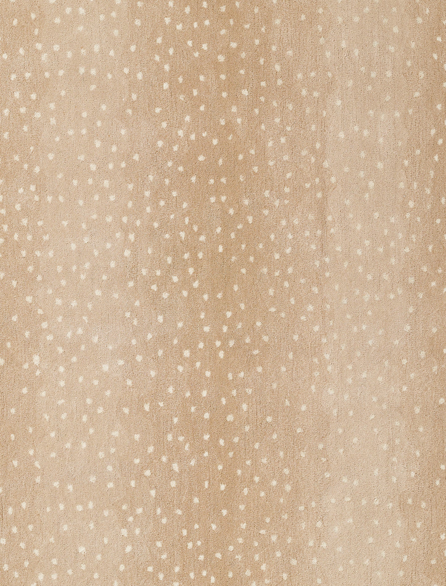 Arnavi